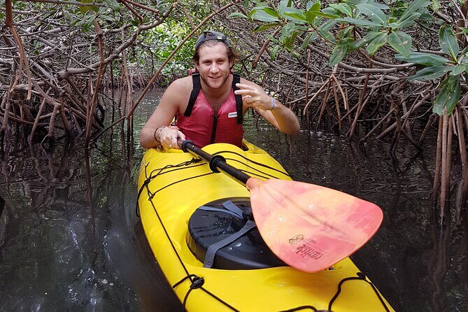 2 Hours of Kayak Safari in Bahía de La Paz - An In-Depth Look at the Kayak Safari in Bahía de La Paz