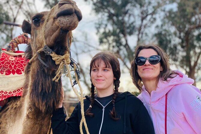 2 Hours Private Camel Ride in Agadir - The Sum Up