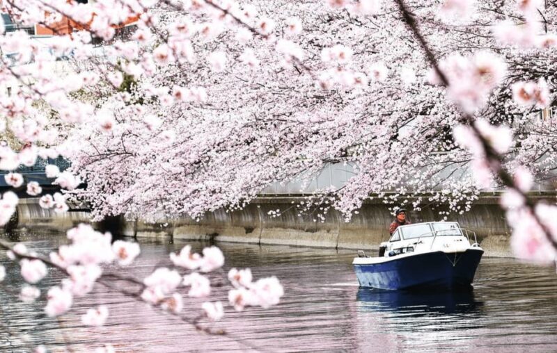 2 Hours Private Cruising Boat Tour;Tokyo Bay & River - Key Points