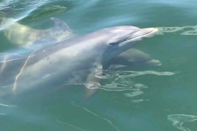 2 Hours Private Guided Sailing Adventure in Pensacola Beach - Who Will Love This Experience?