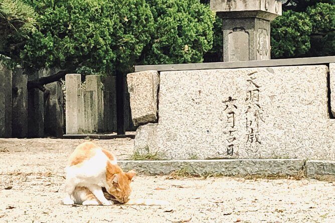 2 Hours Private Guided Walking Tour in Osaka - What’s Included and What’s Not