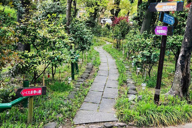2 Hours Private Guided Walking Tour in Osaka - Final Thoughts
