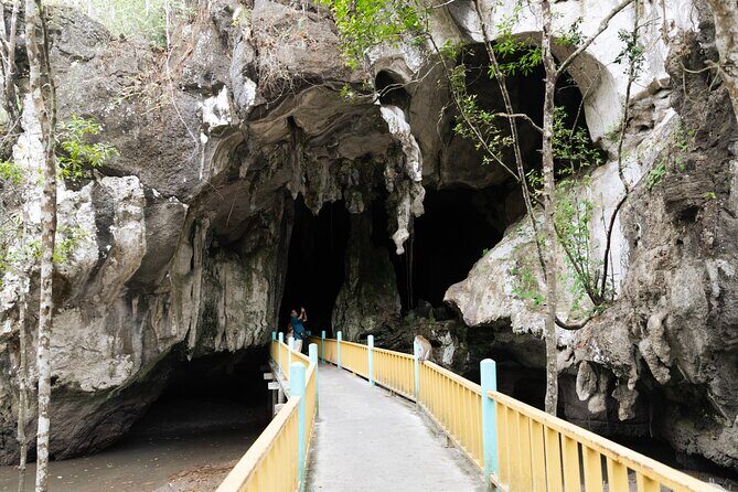 2 Hours Private Mangrove Tour Langkawi - Discovering Langkawi’s Natural Heritage