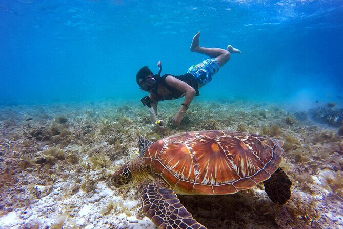 2 hours Private Snorkeling tour in Unawatuna - Unveiling Unawatuna’s Underwater Treasure: A Close Look at the 2-Hour Private Snorkeling Tour