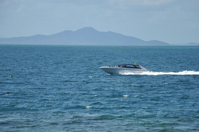 2 Hours Private Speedboat with Hotel Transfer - Sharm El Shaikh - The Itinerary in Detail
