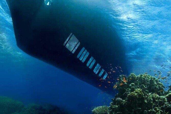 2 Hours Semi Submarine Tour With Transfer from Sharm El-Sheikh - The Real Traveler Experience: Authentic Views and Feedback