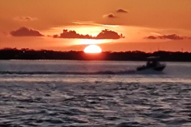 2 Hours Swim with the Dolphins in Panama City - Final Thoughts