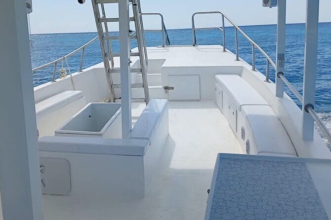 2 Hours Turtle Feeding, Shipwreck & Reef Snorkeling Tour Barbados - Practical Details and Considerations