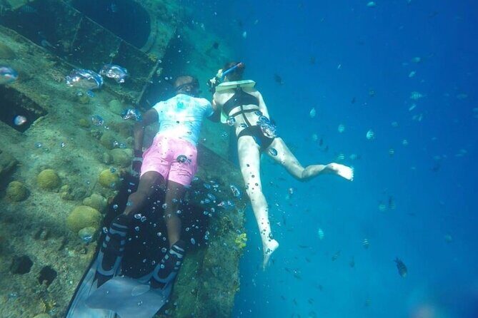 2 Hours Turtle Feeding, Shipwreck & Reef Snorkeling Tour Barbados - FAQ