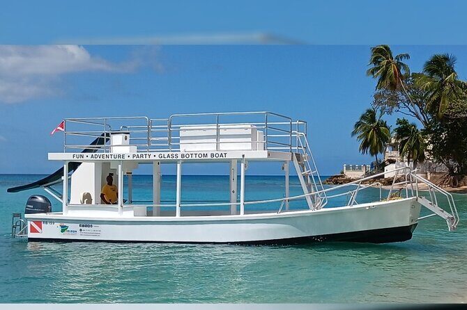 2 Hours Turtle Feeding, Shipwreck & Reef Snorkeling Tour Barbados - Final Thoughts