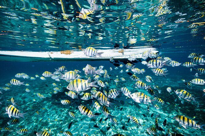 2 in 1 Parasail Cancun and Jet ski - FAQs