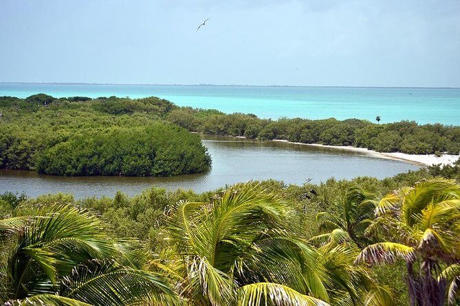 2 Islands Tour - Isla Contoy and Isla Mujeres from Playa del Carmen - Authentic Experiences and Traveler Impressions