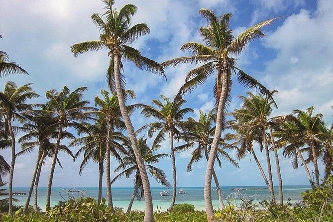 2 Islands Tour - Isla Contoy and Isla Mujeres from Playa del Carmen - The Sum Up: Who Will Love This Tour?