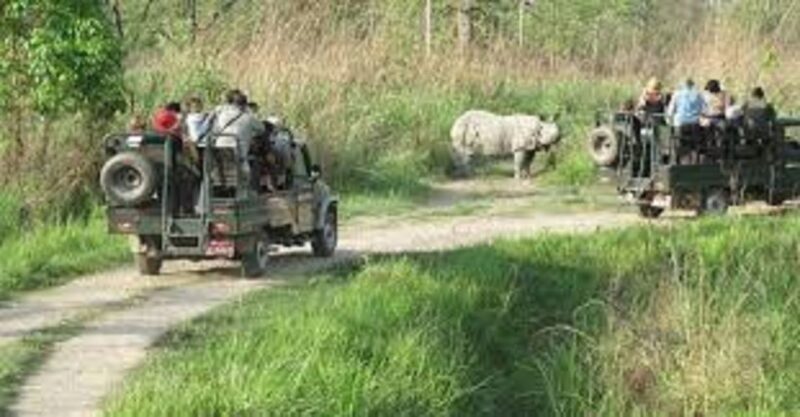2 N 3 Days Chitwan tour package from Pokhara or Kathmandu - Introduction
