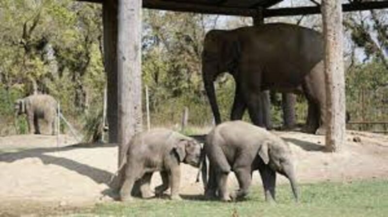 2 N 3 Days Chitwan tour package from Pokhara or Kathmandu - River Adventures and Nature Walks
