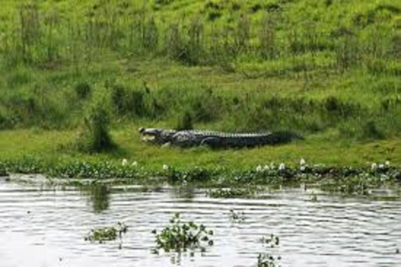 2 N 3 Days Chitwan tour package from Pokhara or Kathmandu - Who Will Love This Tour?