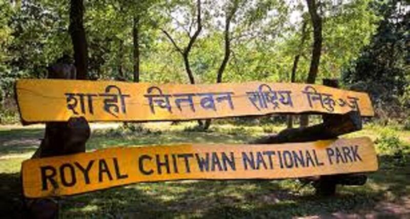 2 N 3 Days Chitwan tour package from Pokhara or Kathmandu - The Sum Up