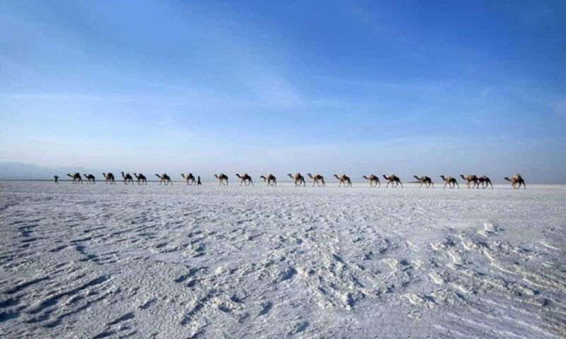 2-Night 3-Day Danakil Depression Tour without Flights - What Makes This Tour Stand Out?