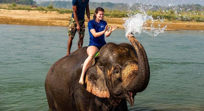 2 Night 3 Days Chitwan National Park/From Kathmandu/Pokhra - Practical Considerations