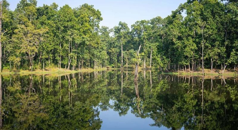2 Night 3 Days Chitwan National Park/From Kathmandu/Pokhra - Final Thoughts: Who Should Consider This Tour?