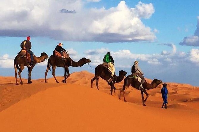 2 night camel trekking in merzouga desert - Key Points