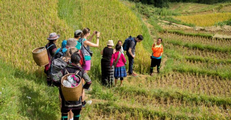 2 Night Lao Chai-Ta Van Homestay- Trekking & Fansipan Visit - Final Thoughts