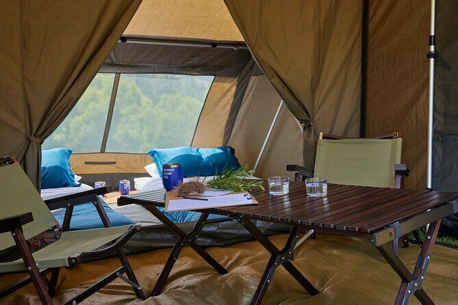 2 Night Rainforest Glamping Adventure near Byron Bay - Introduction