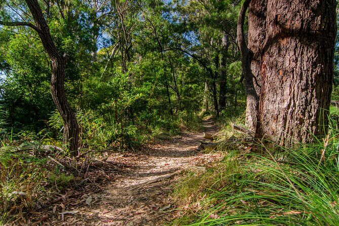 2 Night Rainforest Glamping Adventure near Byron Bay - Price & Value Analysis