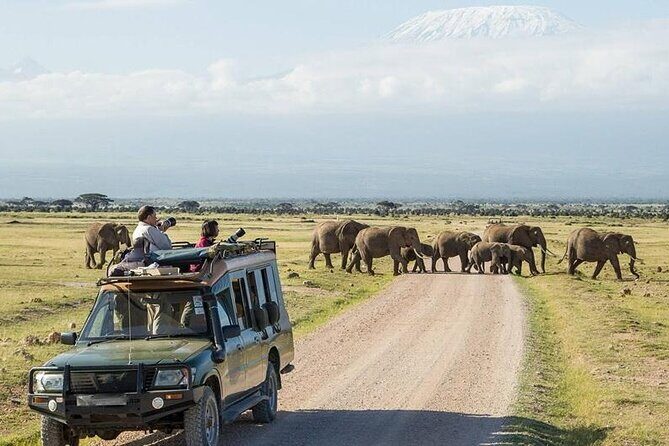 2 Nights 3 Days Amboseli National Park With 4*4 Vehicle - The Sum Up