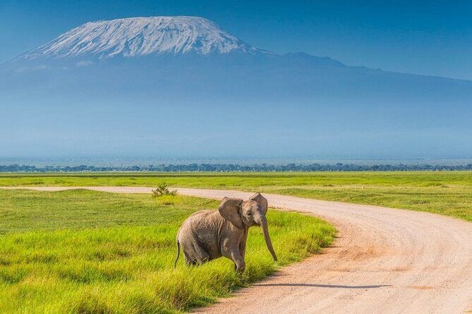 2 Nights 3 Days Amboseli National Park With 4*4 Vehicle - FAQ