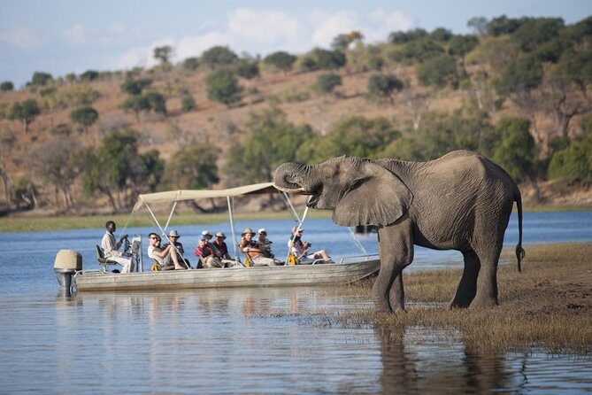 2 Nights 3 Days Chobe Safari ex Livingstone/ Victoria Falls - What to Expect from This Chobe Safari Experience