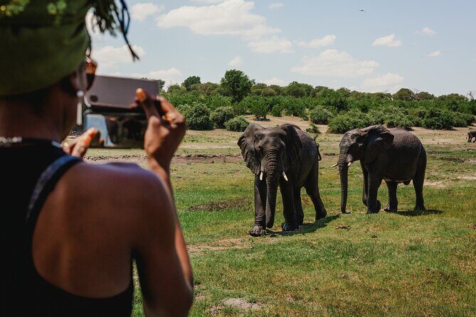 2 Nights 3 Days Chobe Safari ex Livingstone/ Victoria Falls - The Value and Price Point