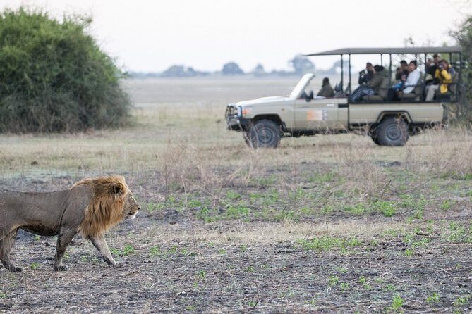 2 Nights 3 Days Chobe Safari ex Livingstone/ Victoria Falls - The Sum Up