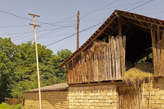 2 nights 3 days Gabala tour from Baku - Final Thoughts: Is This Tour Worth It?