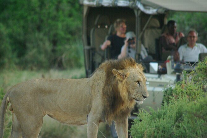 2 nights 3 days Masai Mara safari package - Key Points
