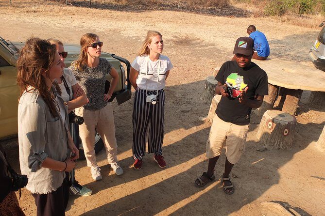 2 nights 3 days safari to mikumi national park - What to Expect from the Tour: A Deep Dive