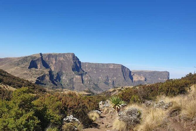 2 Nights 3 Days Trek to Semien Mountain - The Itinerary Unpacked: What to Expect