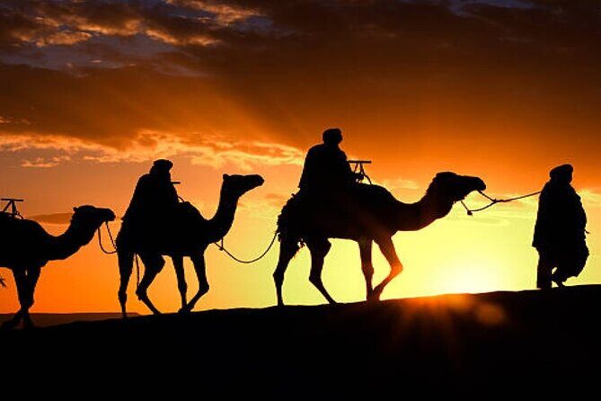 2 Nights in Luxury Camp and Camel Trekking in Merzouga Desert - Key Points
