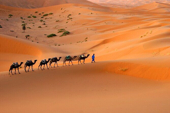 2 Nights in Merzouga desert - An In-Depth Look at the Merzouga Desert Tour