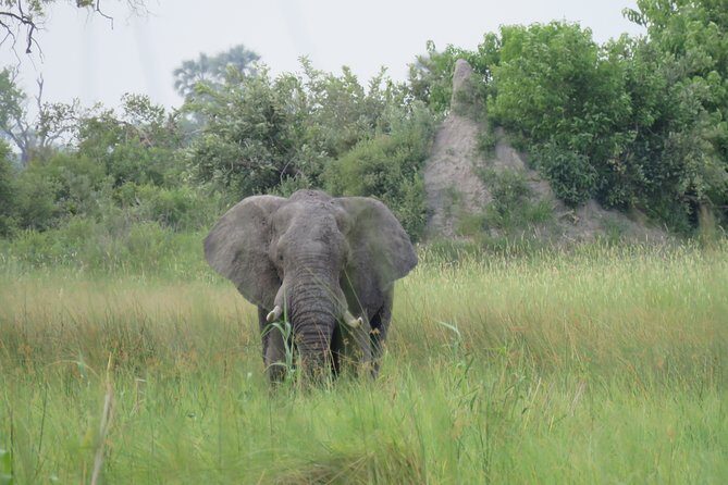 2 Nights Okavango Delta Mokoro WildCamping Tour, all-inclusive - Itinerary deep dive: what you can expect each day