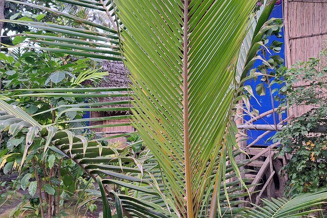 2 Nights Stay in Tanna including Accommodation, meals & transfers - Exploring Tanna Island: What to Expect