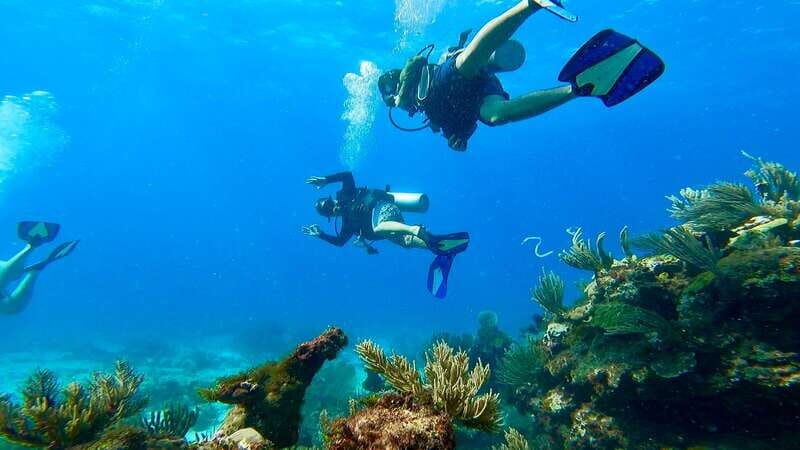 2 Ocean Dives: MUSA Underwater Museum and Manchones Reef - Introduction: What to Expect from This Cancun Underwater Adventure