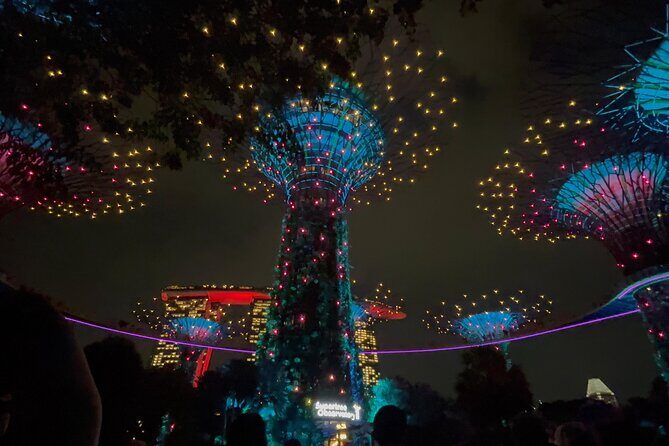 2 Pax Bundle Singapore River Cruise and Stunning Light Shows - Authentic Feedback and Real-World Experiences