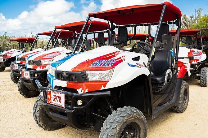 2-Seater UTV Island Tour in Aruba - The Experience in Detail