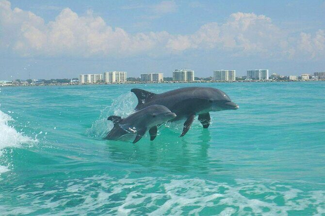 2-Stop Snorkeling and Dolphin Cruise from Destin - Final Thoughts