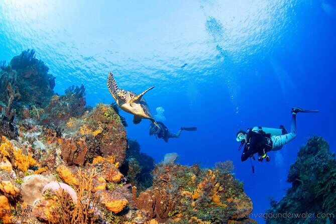 2 Tank Cozumel Reef Boat Dives - FAQ