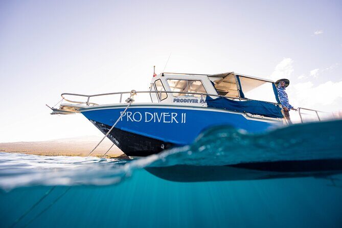 2-Tank Dive Featuring the Molokini Crater - Analyzing the Value