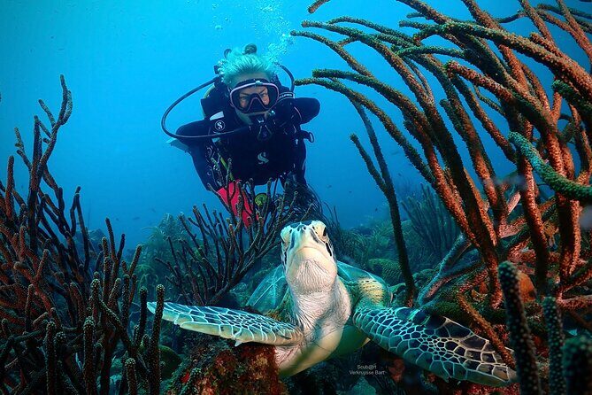 2 Tank Guided Dive half-day - FAQ