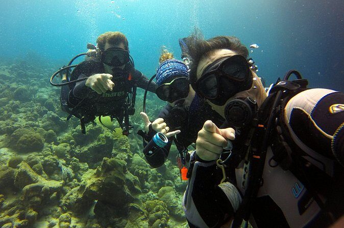 2 tank guided dive House Reef (Pierbaai Reef and Car Pile) - Who Will Love This Experience?