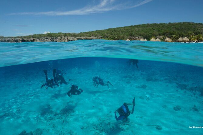 2 tank guided dive House Reef (Pierbaai Reef and Car Pile) - FAQs